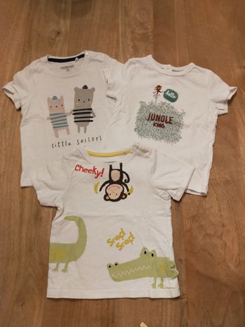 Lot de 3 t-shirts animaux 18 mois