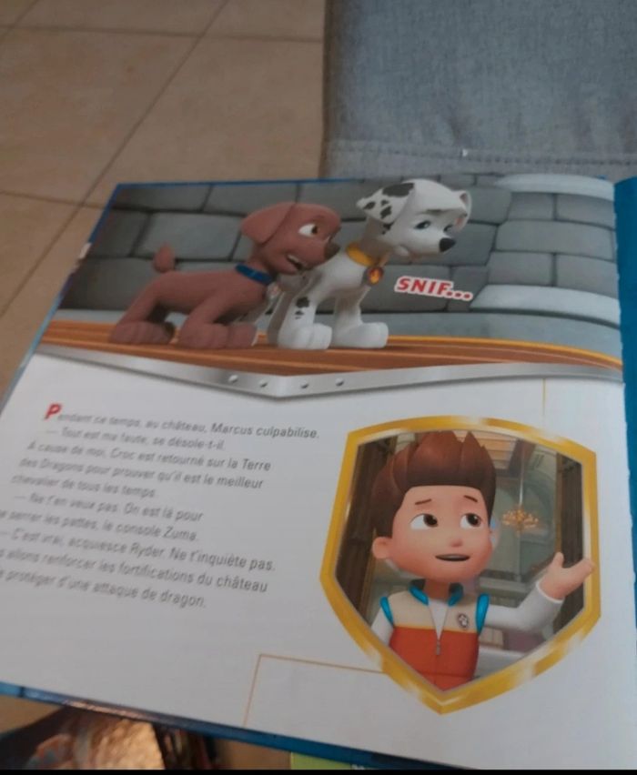 Livre pat patrouille la dent de dragon - photo numéro 7