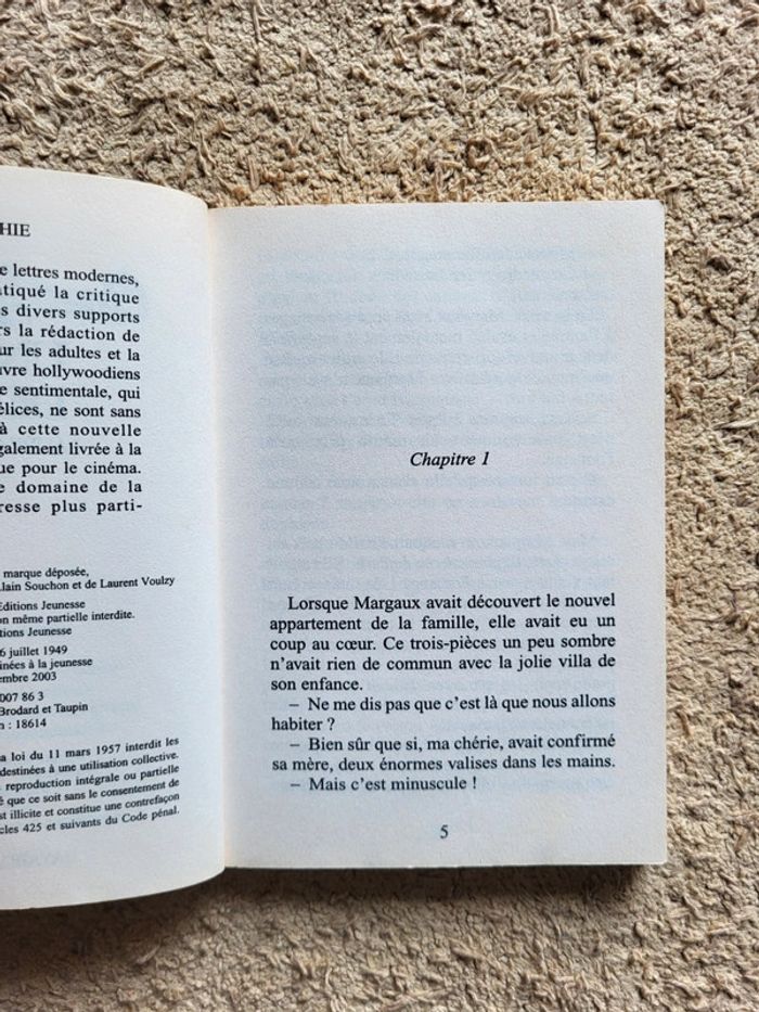 Roman jeunesse Un duo de rêve de Laure Constance- Cœur grenadine numéro 361 - photo numéro 5