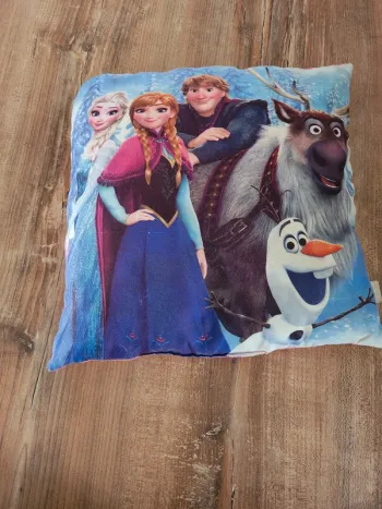 Coussin oreiller La reine des neiges disney en très bon état
