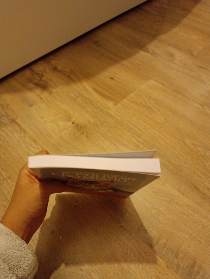 Livre le pouvoir du miaou - photo numéro 3