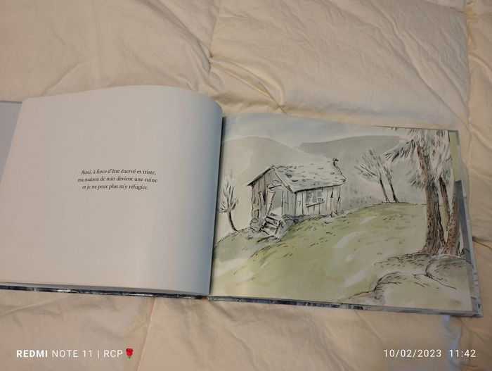 Livre enfant illustrer - photo numéro 4