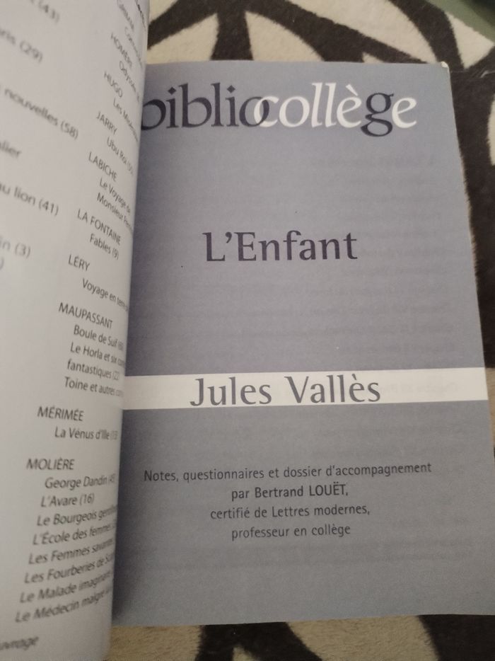 Livre "L'enfant" de Jules Vallès édition biblio collège 350 pages - photo numéro 2