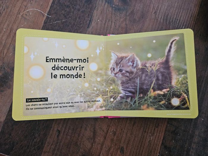 Livre Chats mignons J'aime ta frimousse - photo numéro 3