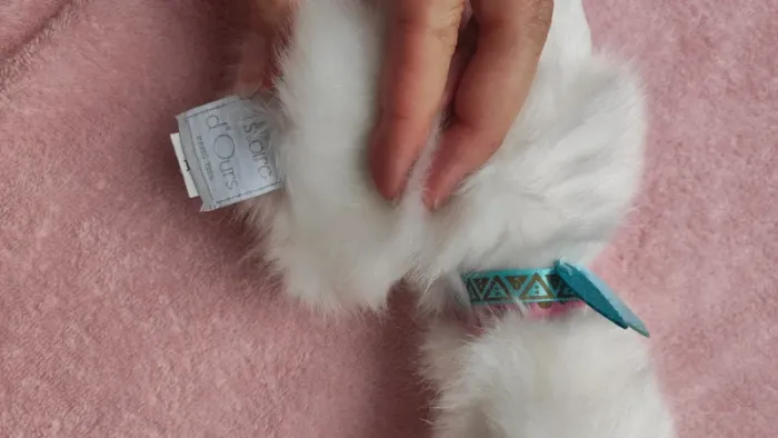 Histoire d'Ours
Peluche Lama 20cm - Blanc - photo numéro 4