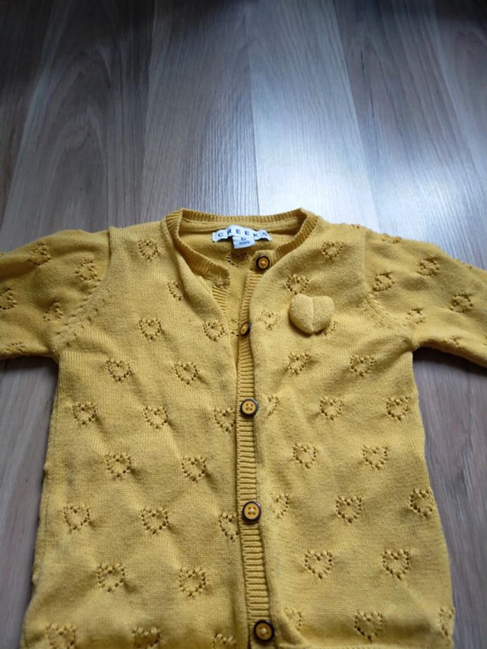 Gilet avec coeur - photo numéro 3