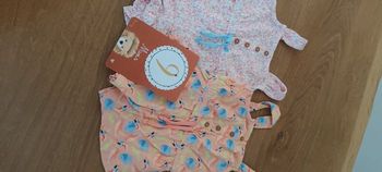 Lot 2 Combi short