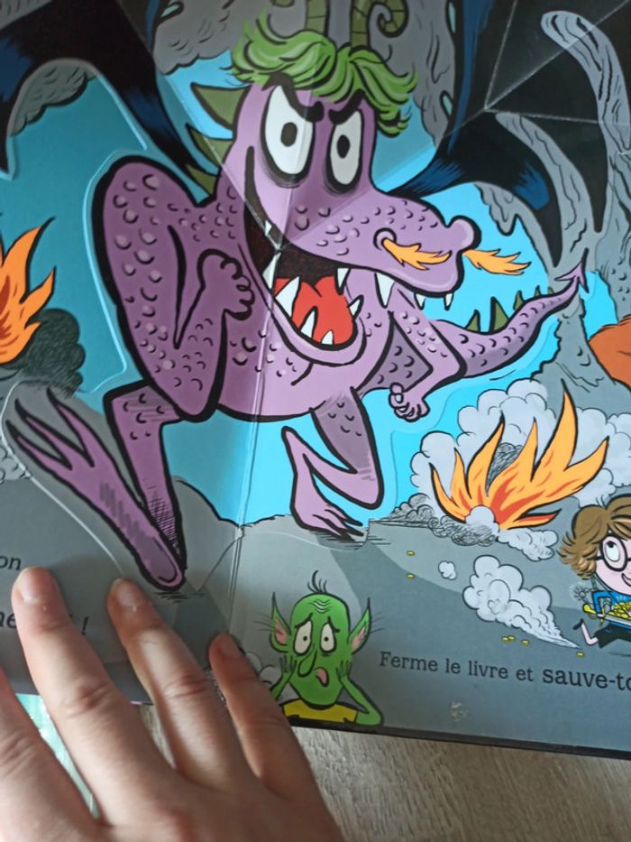Livre au secours un dragon scrogneugneu - photo numéro 8