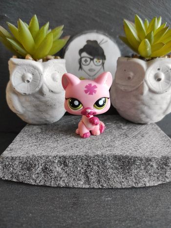Littlest Petshop LPS Pet Shop chat Chartreux 1846 cat  #geektradelpschat