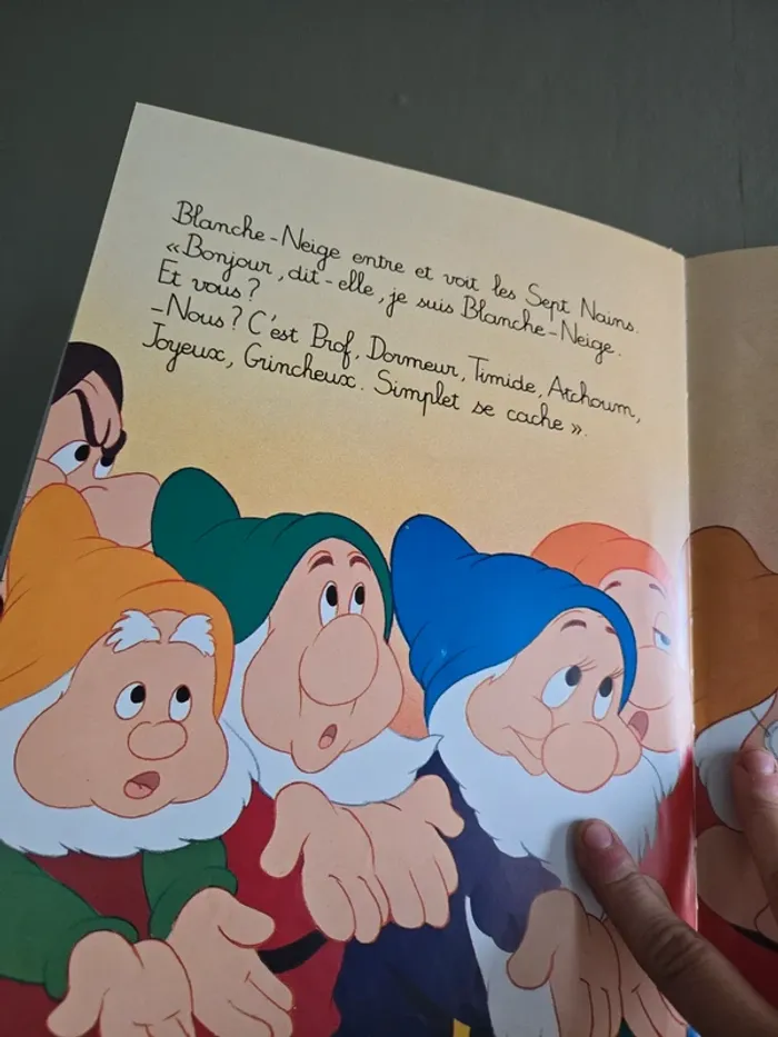 🐬 Livre grand format 🐬 - photo numéro 4