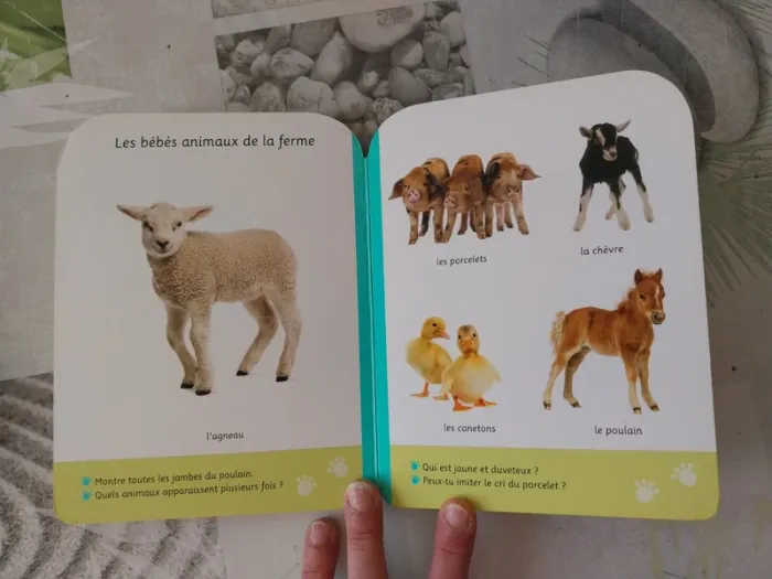 Livre Petits pas La ferme - photo numéro 10