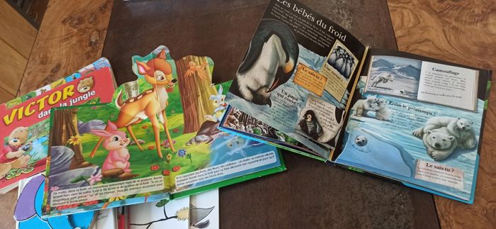 Livres pour enfant zou pirates bambi - photo numéro 9