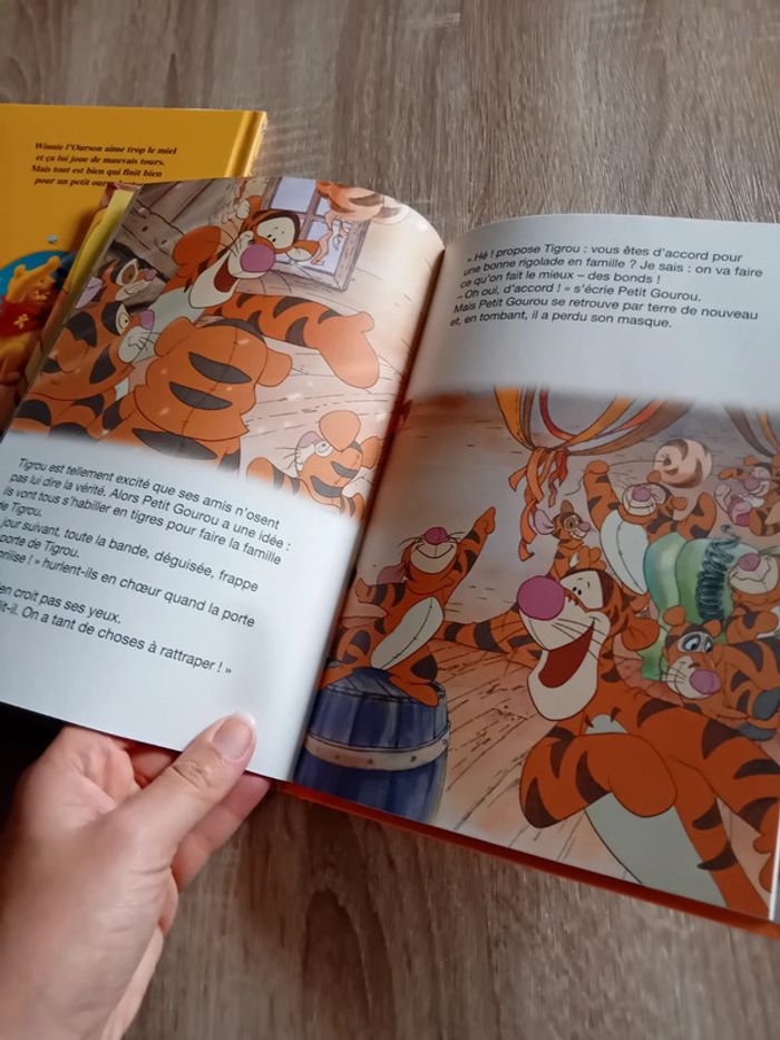Lot de 2 livres Disney - photo numéro 8