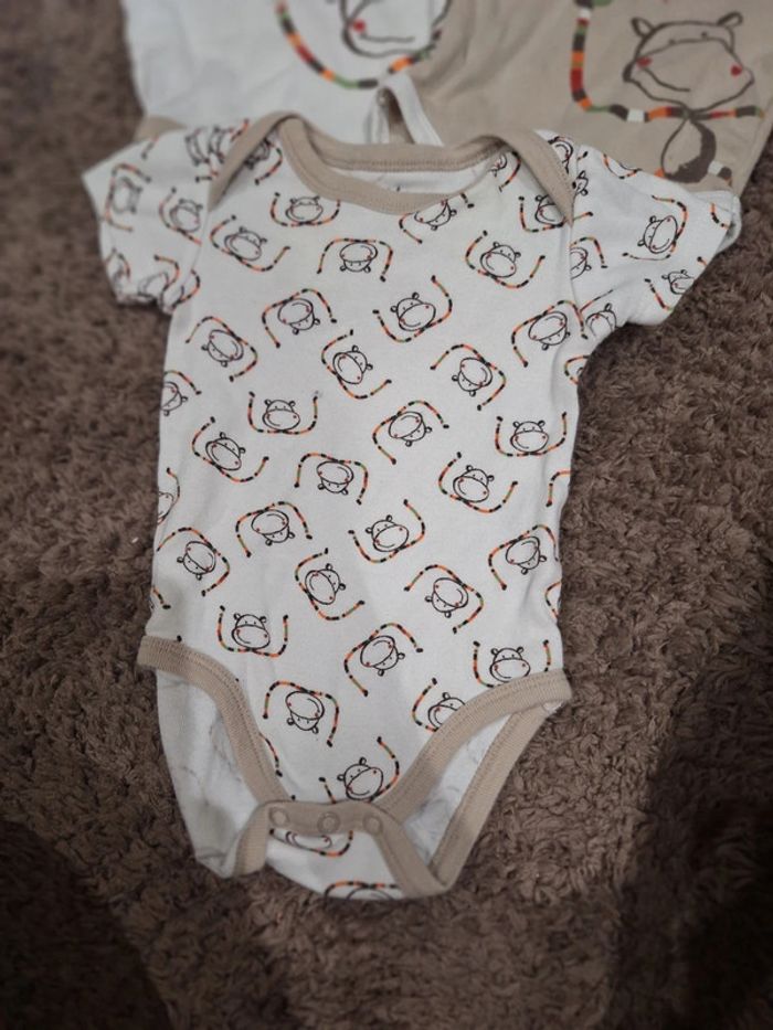Lot de 3 bodies manches courtes taille 3 mois - photo numéro 2