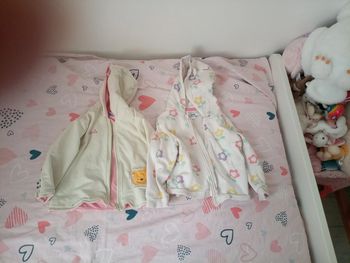 Lot de 2 vestes zippés à capuches taille 2  ans