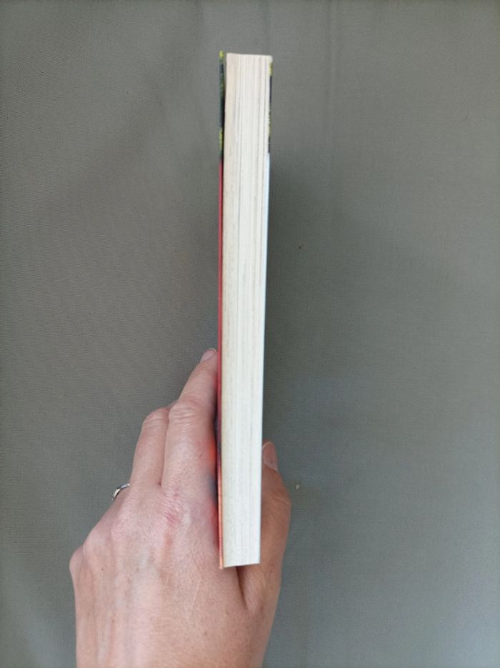 Livre "la Cabane magique" tome 45 neuf - photo numéro 2