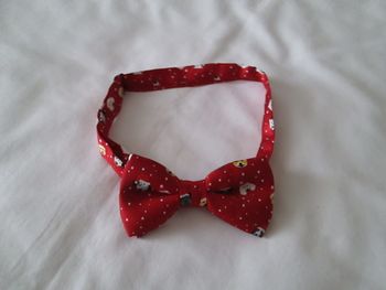 Noeud papillon Rouge