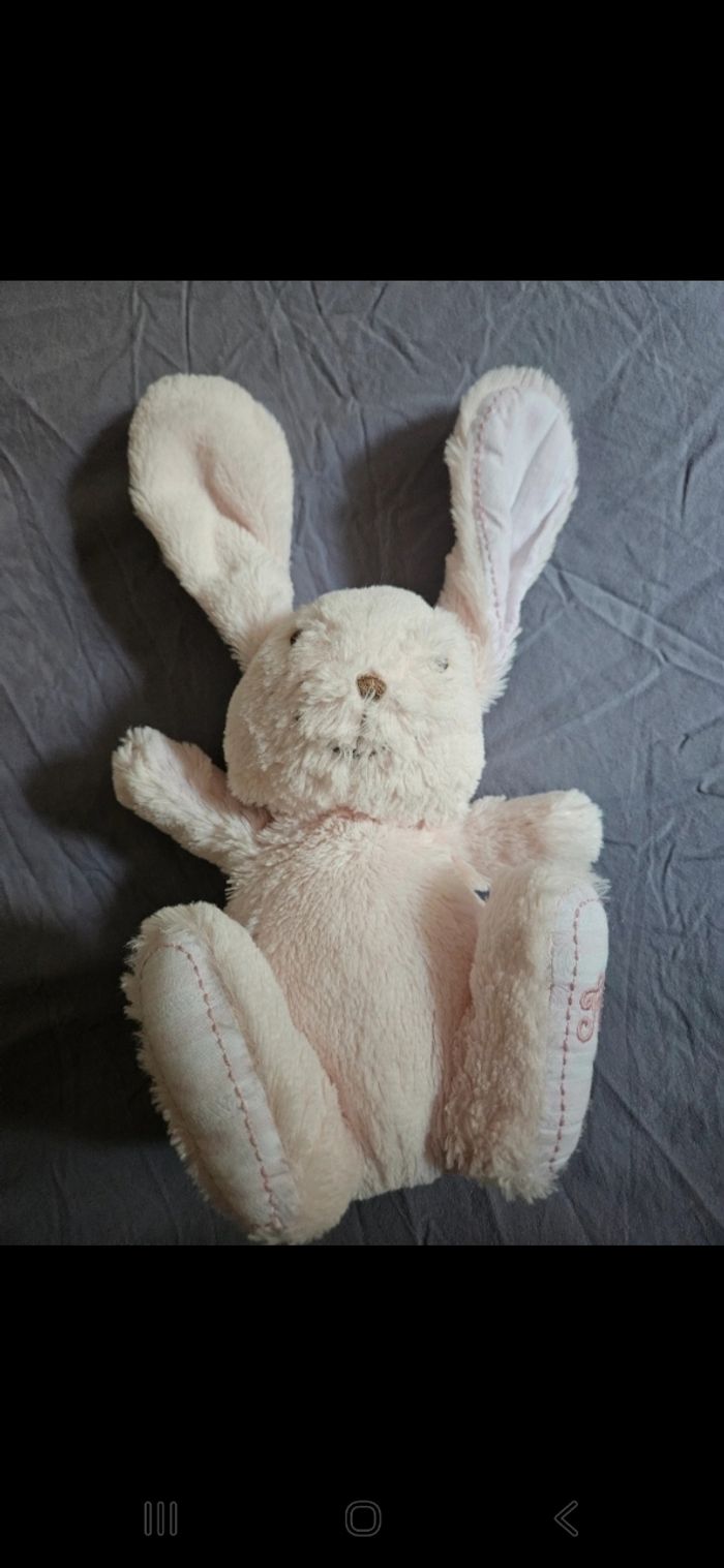 Augustin le lapin - photo numéro 6