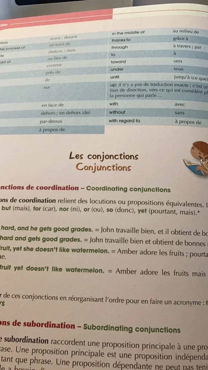 Livre dictionnaire - photo numéro 10