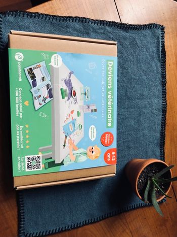 Kit Pandacraft Deviens vétérinaire 8 12 ans NEUF