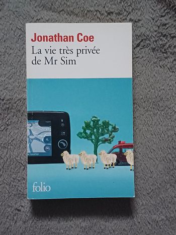 Livre La vie privée de Mr Sim