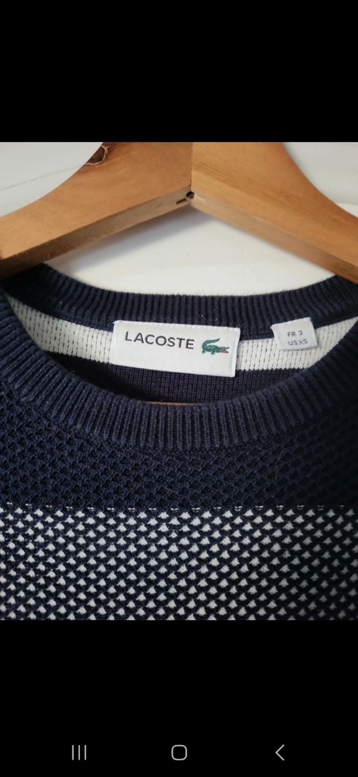 Pull  homme Lacoste - photo numéro 3