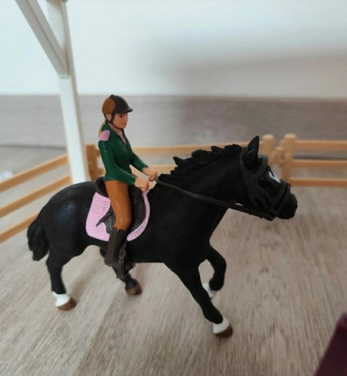 Ecole d'équitation Schleich - photo numéro 7