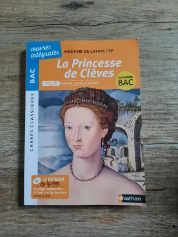 Livre La Princesse de Clèves.