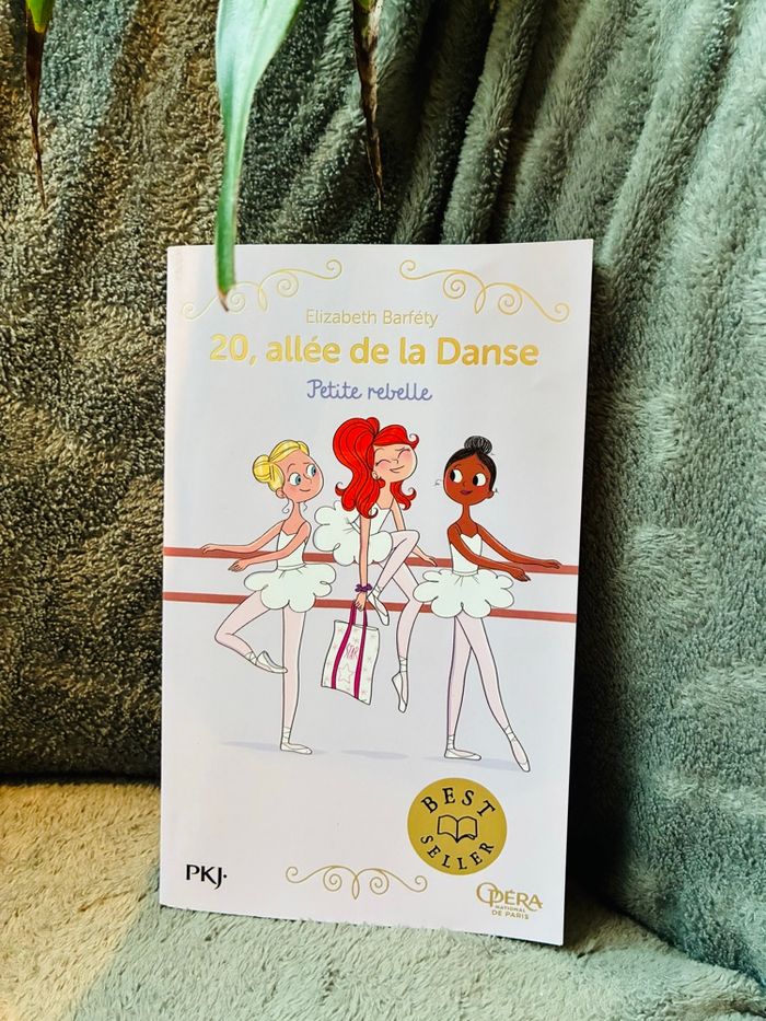 Livre roman enfant 20 allée de la danse