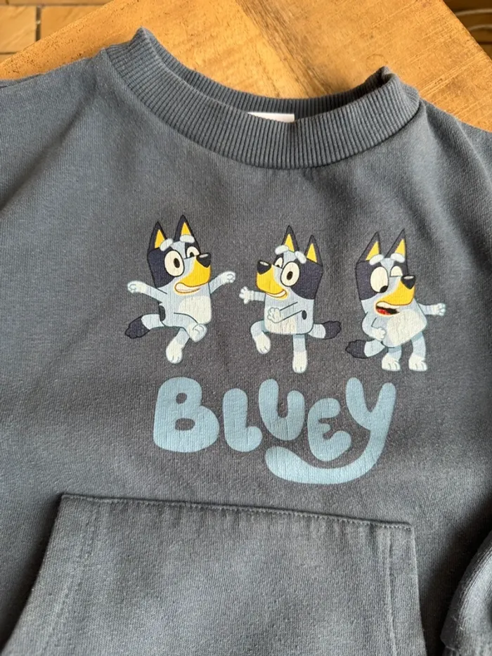Ensemble Bluey - photo numéro 2