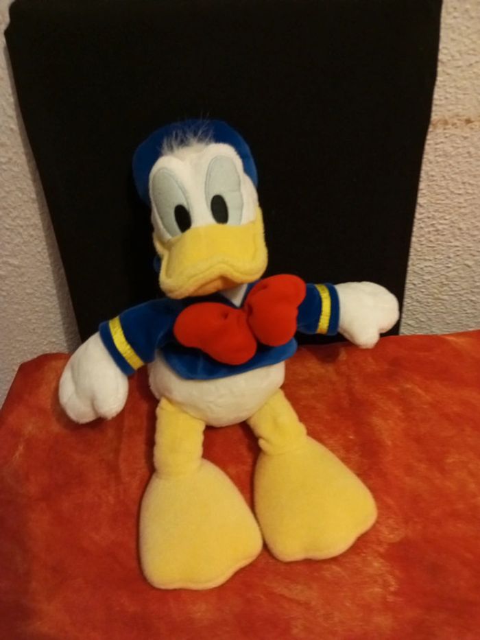 Donald Walt Disney Company