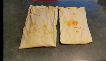 Lot de 2 chemises de nuit taille 44.