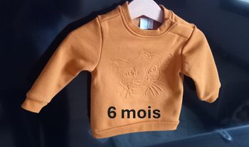 Sweat moutarde roi lion