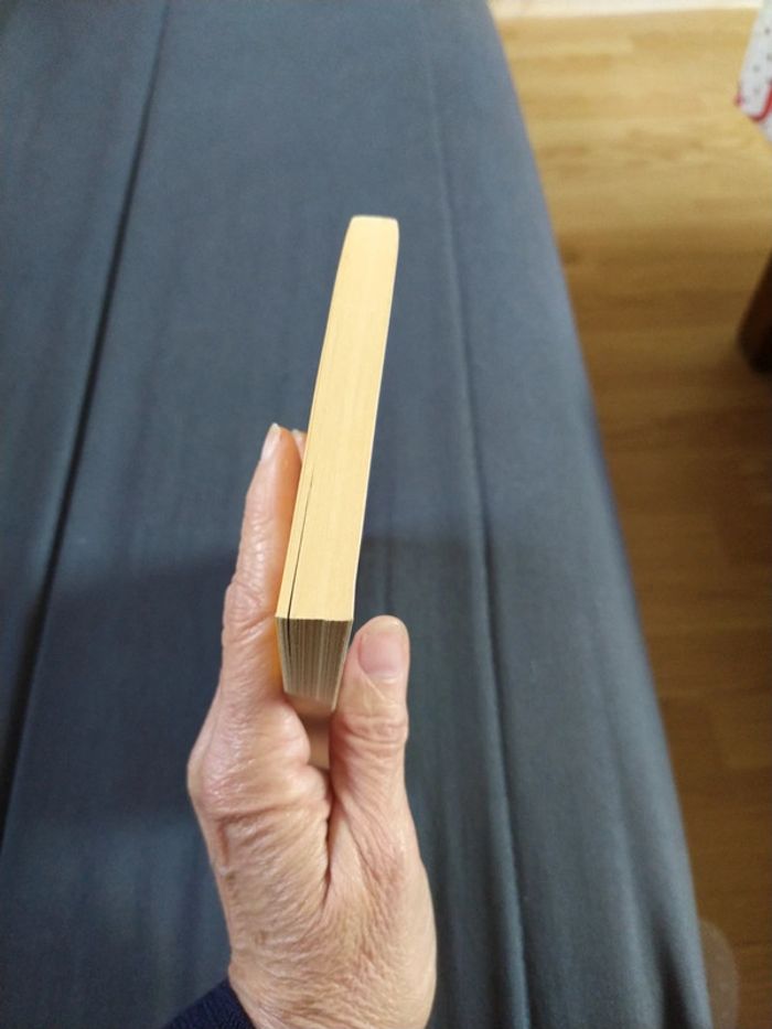 Trois grands fauves de Hugo Boris - photo numéro 4