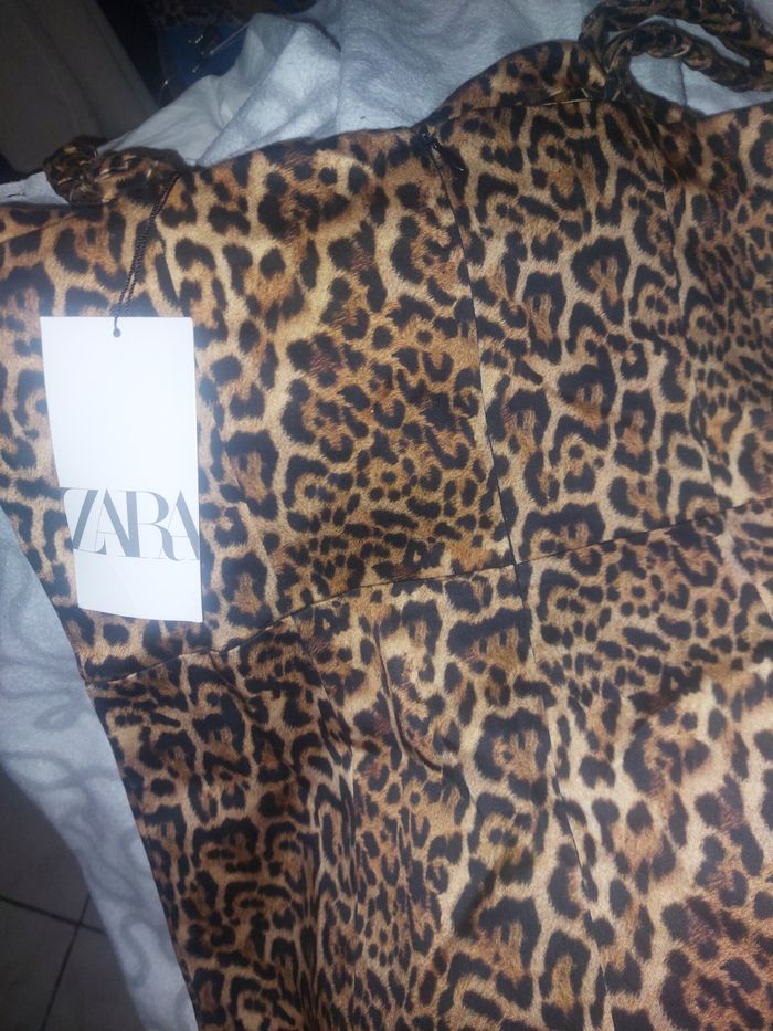 Robe - photo numéro 3