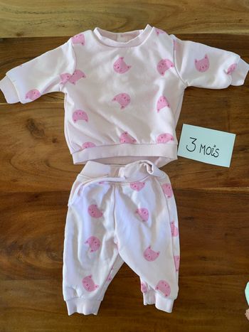 Ensemble jogging rose