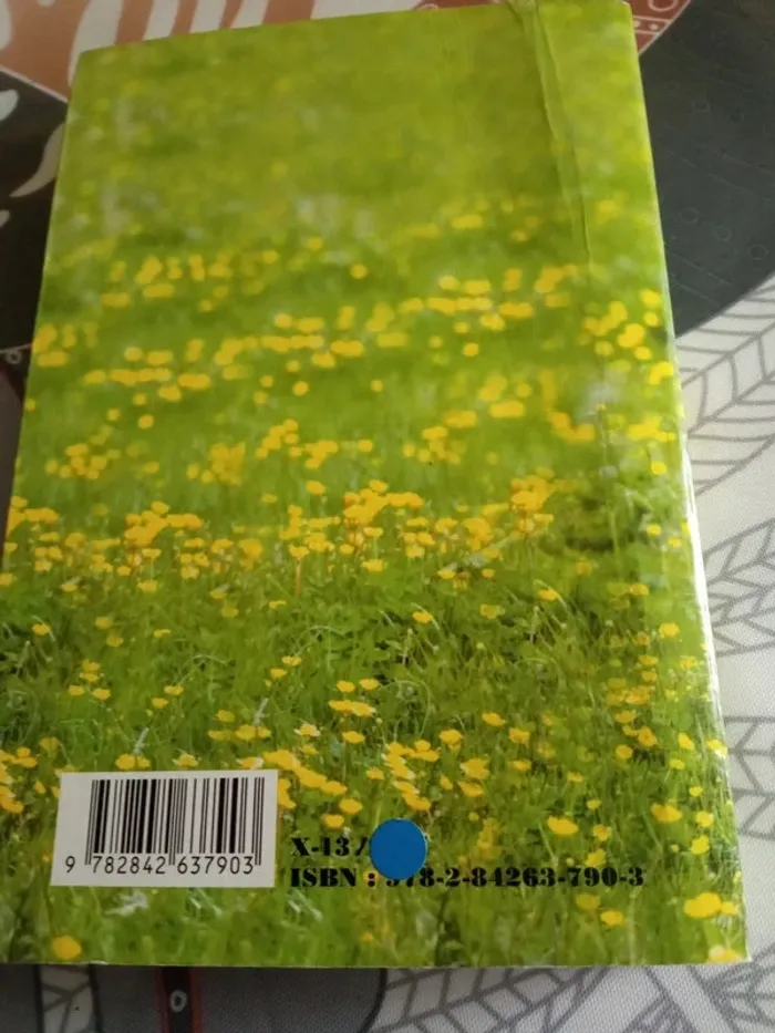 Livre Billie - photo numéro 2