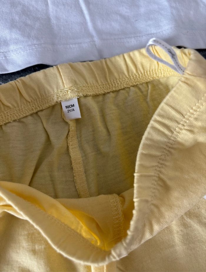 Ensemble Pikachu - photo numéro 4