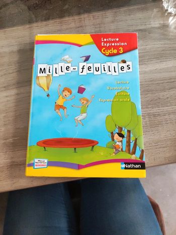Mille  feuille Lecture Compréhension Cycle 3