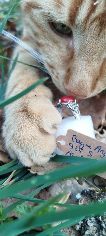 Bague fleur de lotus Argent 925s en Agate Rouge