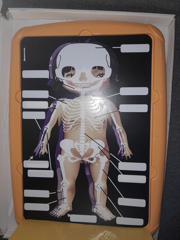 Miniland educational - puzzle schéma corporel inclusif fille / garçon