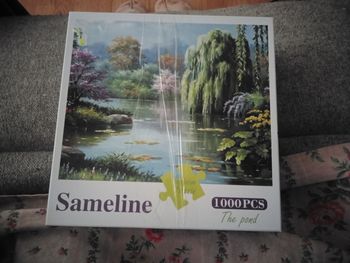 Puzzle 1000 pièces
