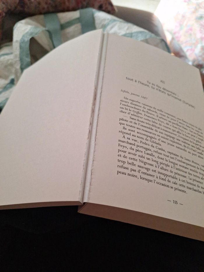 Livre vent d'histoire - photo numéro 6