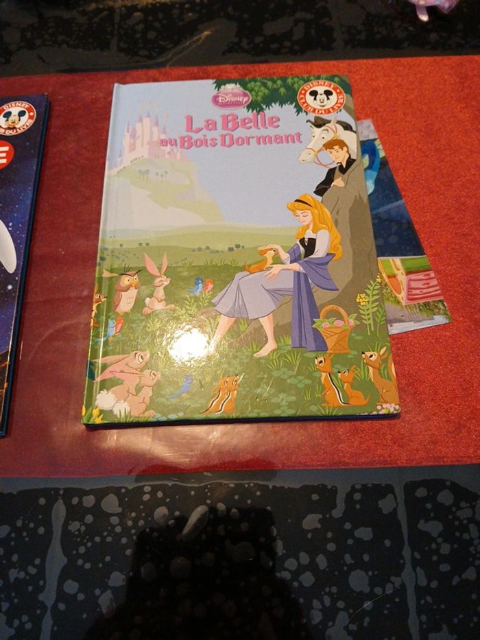 Livre enfant disney - photo numéro 4