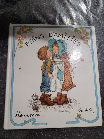 Livre Hemma brins d amitiés