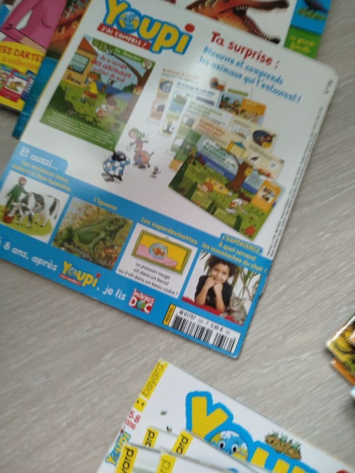 Livres youpi j'ai compris - photo numéro 9