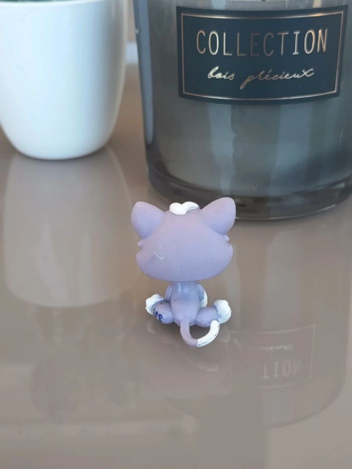 Littlest Pet Shop #2033 purple grey kitten cat - photo numéro 2