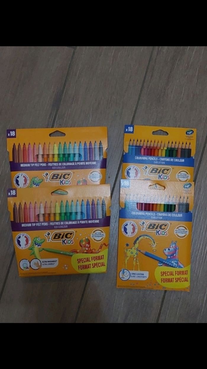 Lot feutres et crayons de couleurs bic