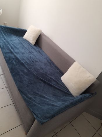 Canapé lit avec coffre de remonter nettoyé