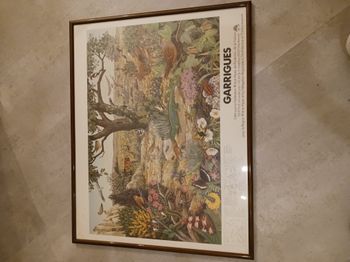 tableau photo Garrigues cadre marron 82 x 65 cm